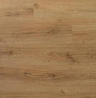 Дуб Тюльпан