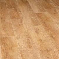 Дуб Медовый