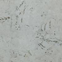 Настенное пробковое покрытие BFM Cork NW 903 Flora