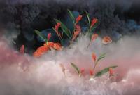 Фреска #31617 Mystery in the fog