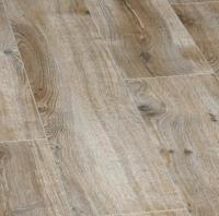 Дуб зимний сад