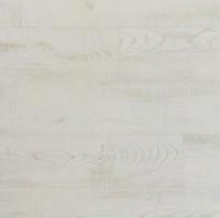 Сосна скандинавская