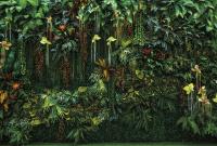 Фреска #32763 Oasis