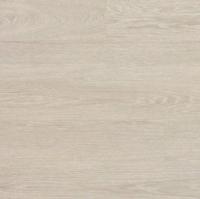 Дуб Гранада