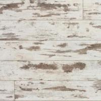 Дуб атлантический