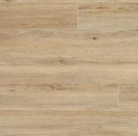 Дуб Португальский