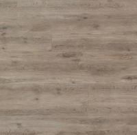 Дуб тропический