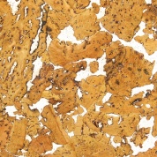 Настенное пробковое покрытие/ пробка на стены BFM Cork  NW 02481 Tabago white