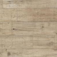 Дуб распиленный