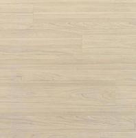 Весенний вяз