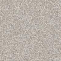 Линолеум Tarkett (Таркетт) GALAXY Bismarck 3 (2,5м/1,8мм) ОТРЕЗ