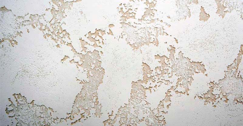 Стены карта мира