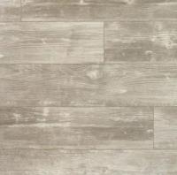 Дуб сельский