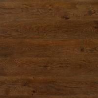 Дуб Викторианский