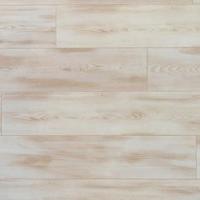 Сосна средиземноморская