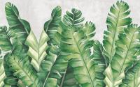 Фреска #32702 Banana leaves green