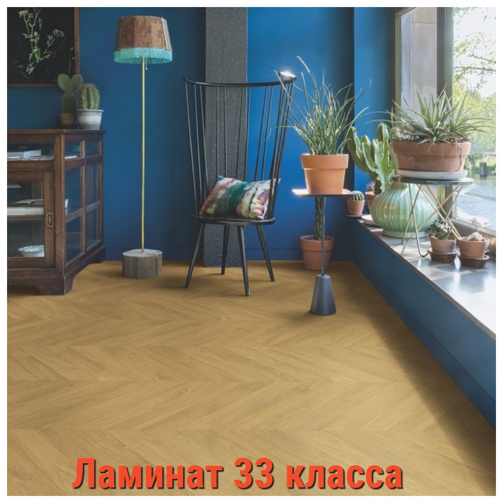 33.jpg 33 класс