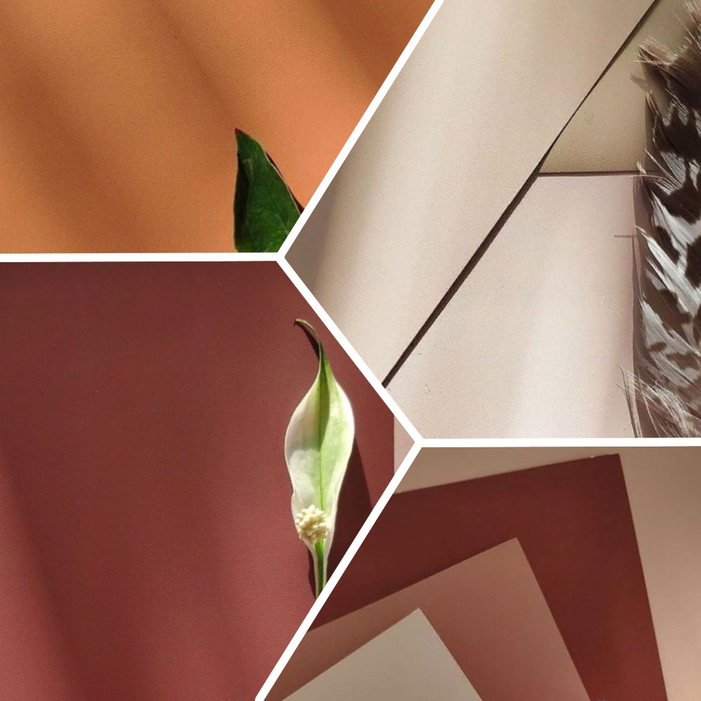 Гладкая матовая краска - теплые оттенки палитры Finch